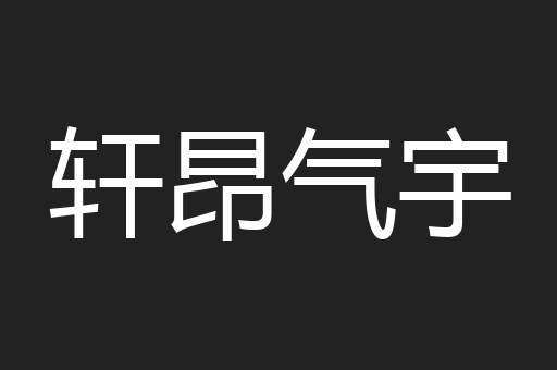 轩昂气宇