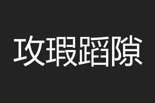 攻瑕蹈隙