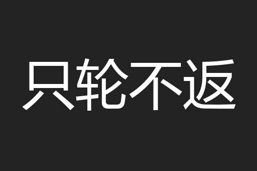 只轮不返