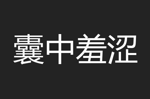 囊中羞涩