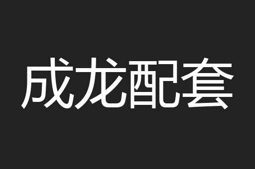 成龙配套