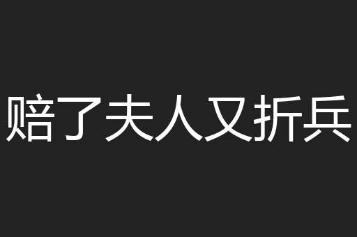 赔了夫人又折兵