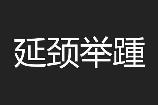 延颈举踵
