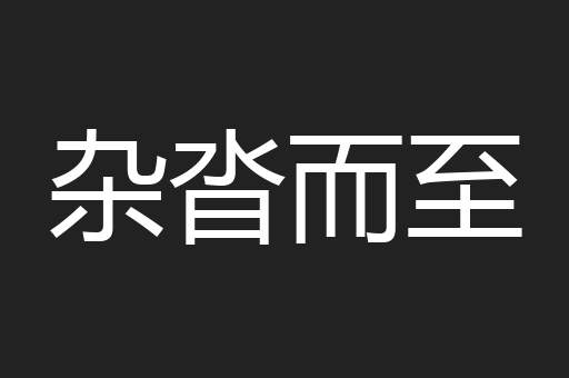 杂沓而至