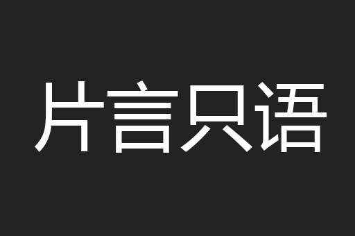 片言只语