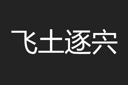 飞土逐宍