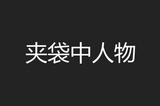 夹袋中人物