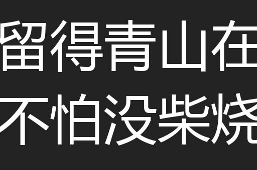 留得青山在不怕没柴烧