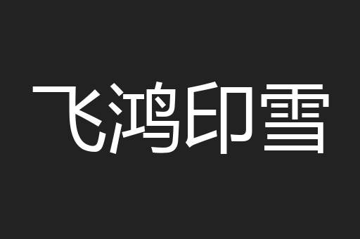 飞鸿印雪
