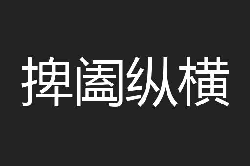 捭阖纵横
