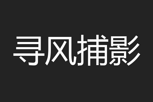 寻风捕影