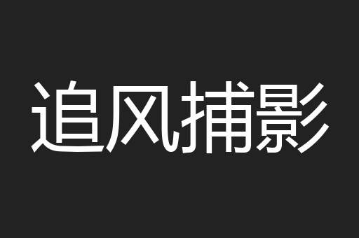 追风捕影
