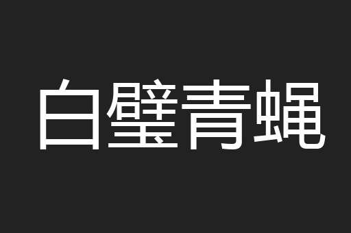 白璧青蝇