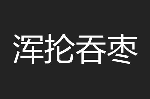 浑抡吞枣