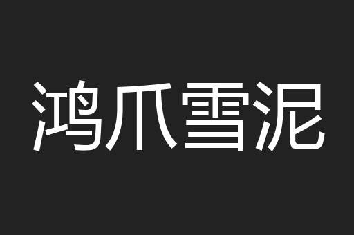 鸿爪雪泥