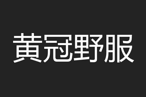 黄冠野服