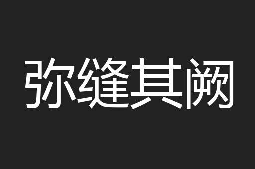 弥缝其阙