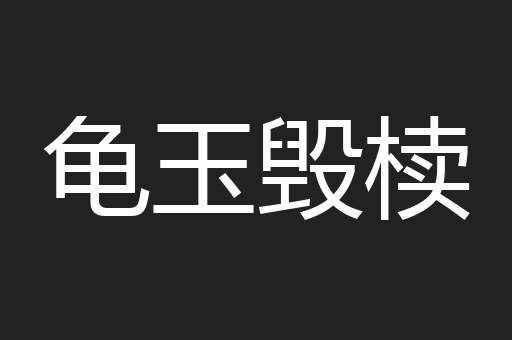 龟玉毁椟