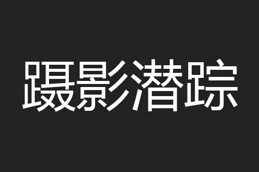 蹑影潜踪
