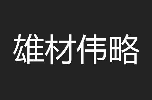 雄材伟略