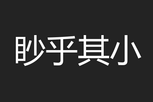 眇乎其小