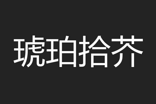 琥珀拾芥