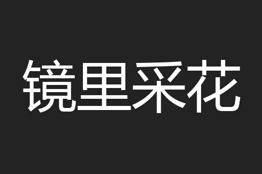 镜里采花