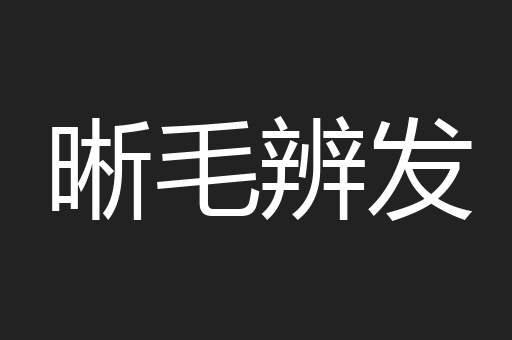 晰毛辨发
