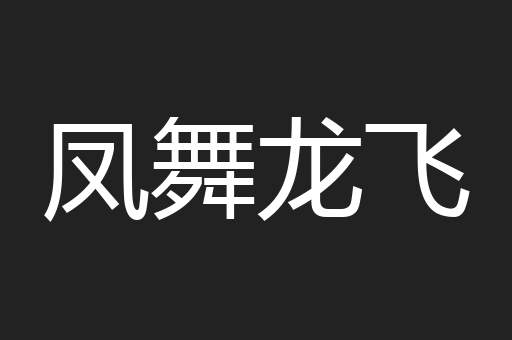 凤舞龙飞