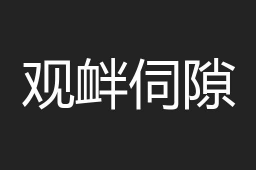 观衅伺隙