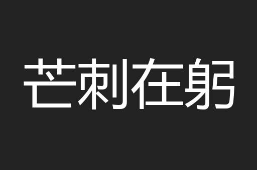 芒刺在躬