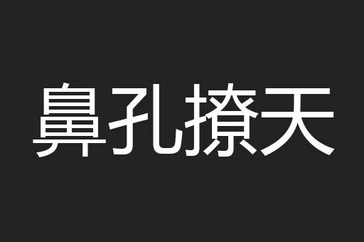 鼻孔撩天