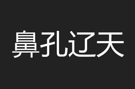 鼻孔辽天