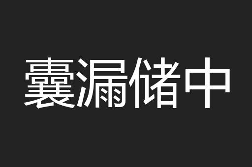 囊漏储中