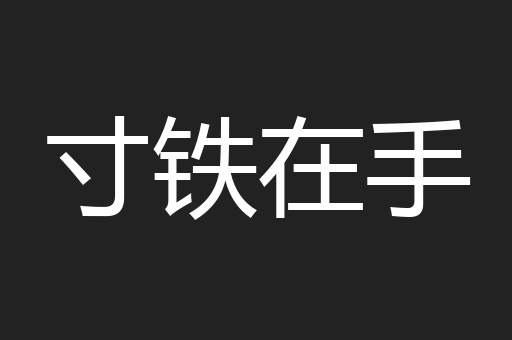 寸铁在手