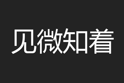 见微知着