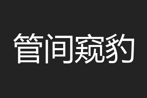 管间窥豹
