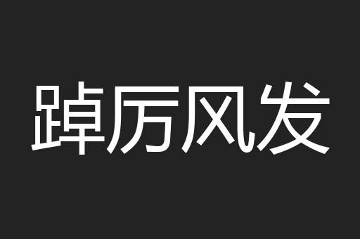踔厉风发