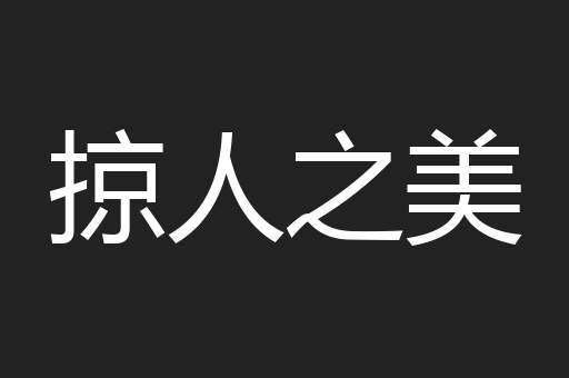 掠人之美