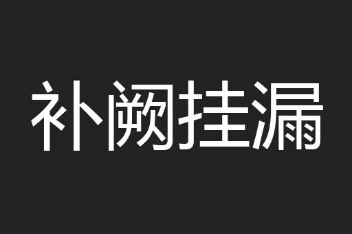 补阙挂漏