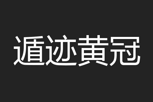 遁迹黄冠