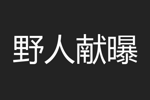 野人献曝