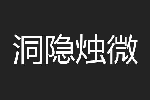 洞隐烛微