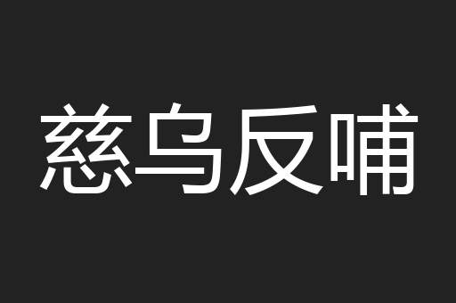 慈乌反哺