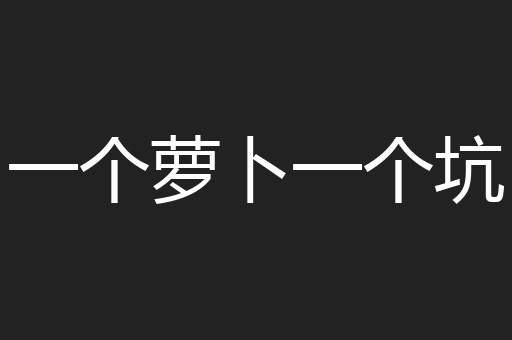 一个萝卜一个坑