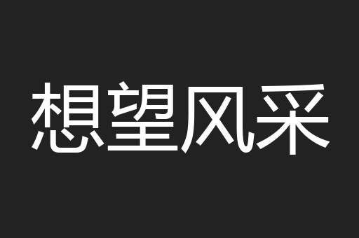 想望风采