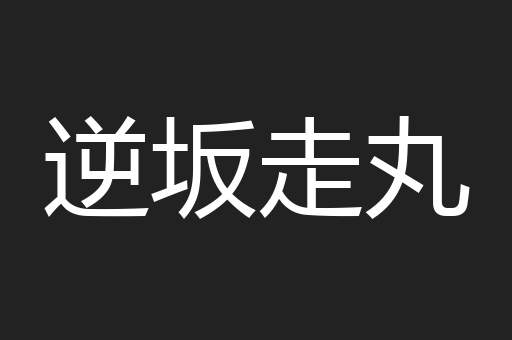 逆坂走丸