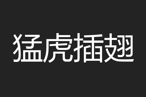 猛虎插翅