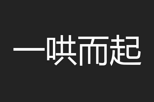 一哄而起
