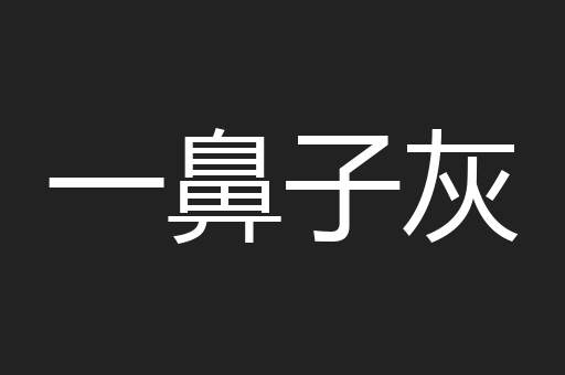 一鼻子灰